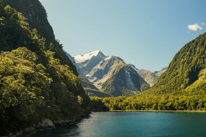 A lake surrounded by green mountains and trees
